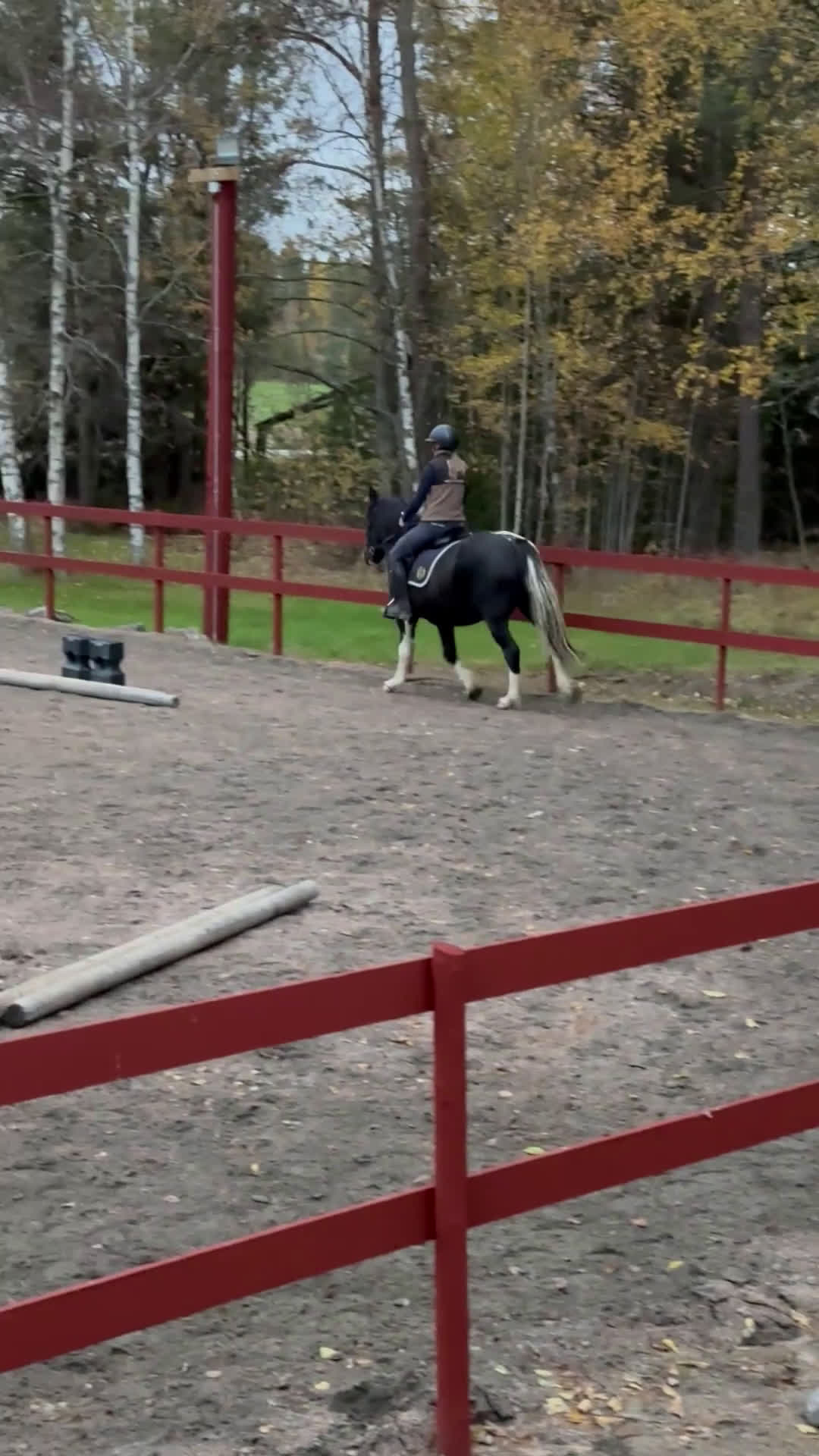 Allround hästar till salu: Projekt foderköp - Video 2