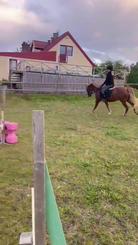 Allround hästar till salu: Fin hobbyhäst! i Billesholm - Video 2