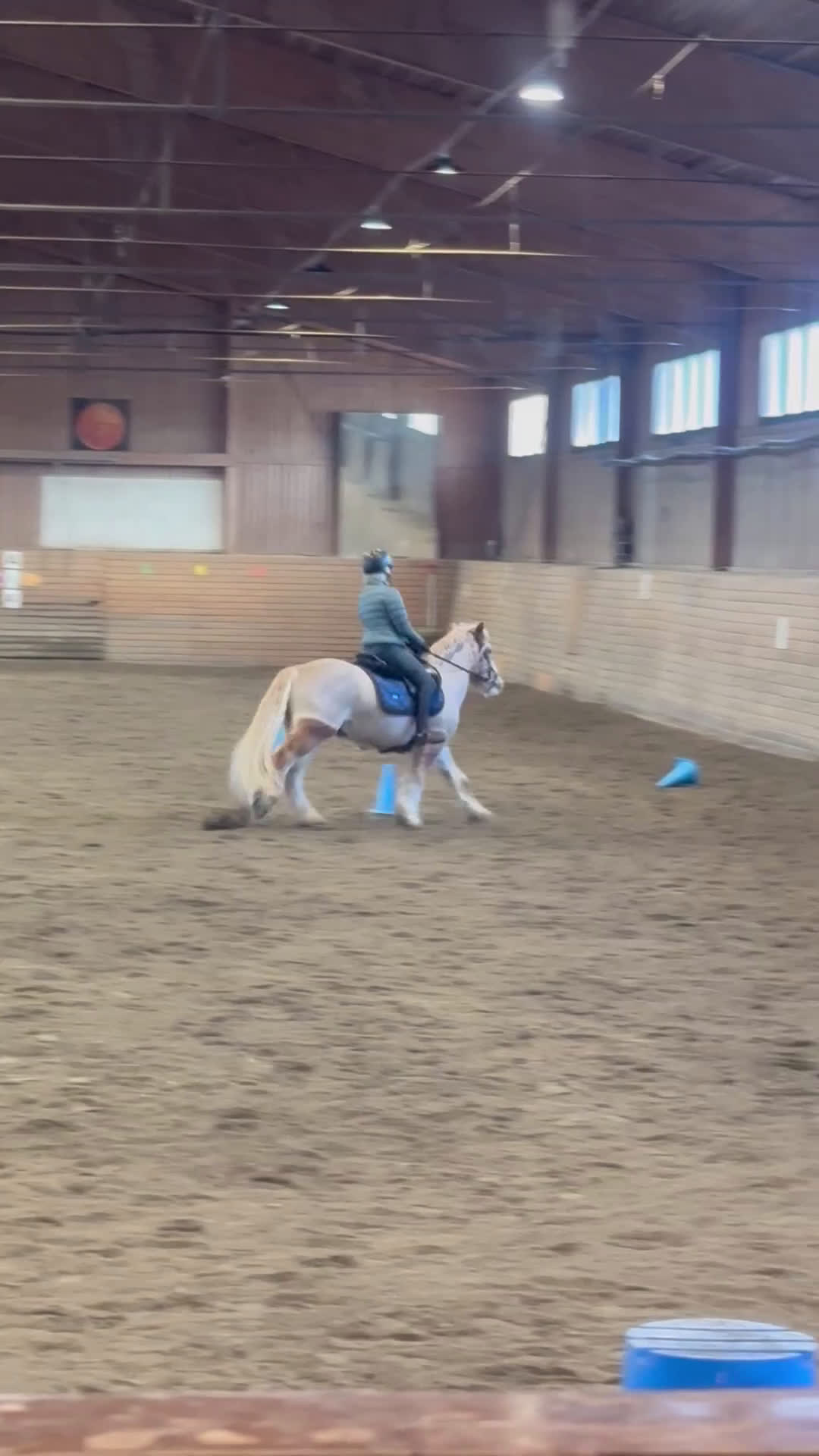 Allround hästar till salu: Bästa vän - Video 5