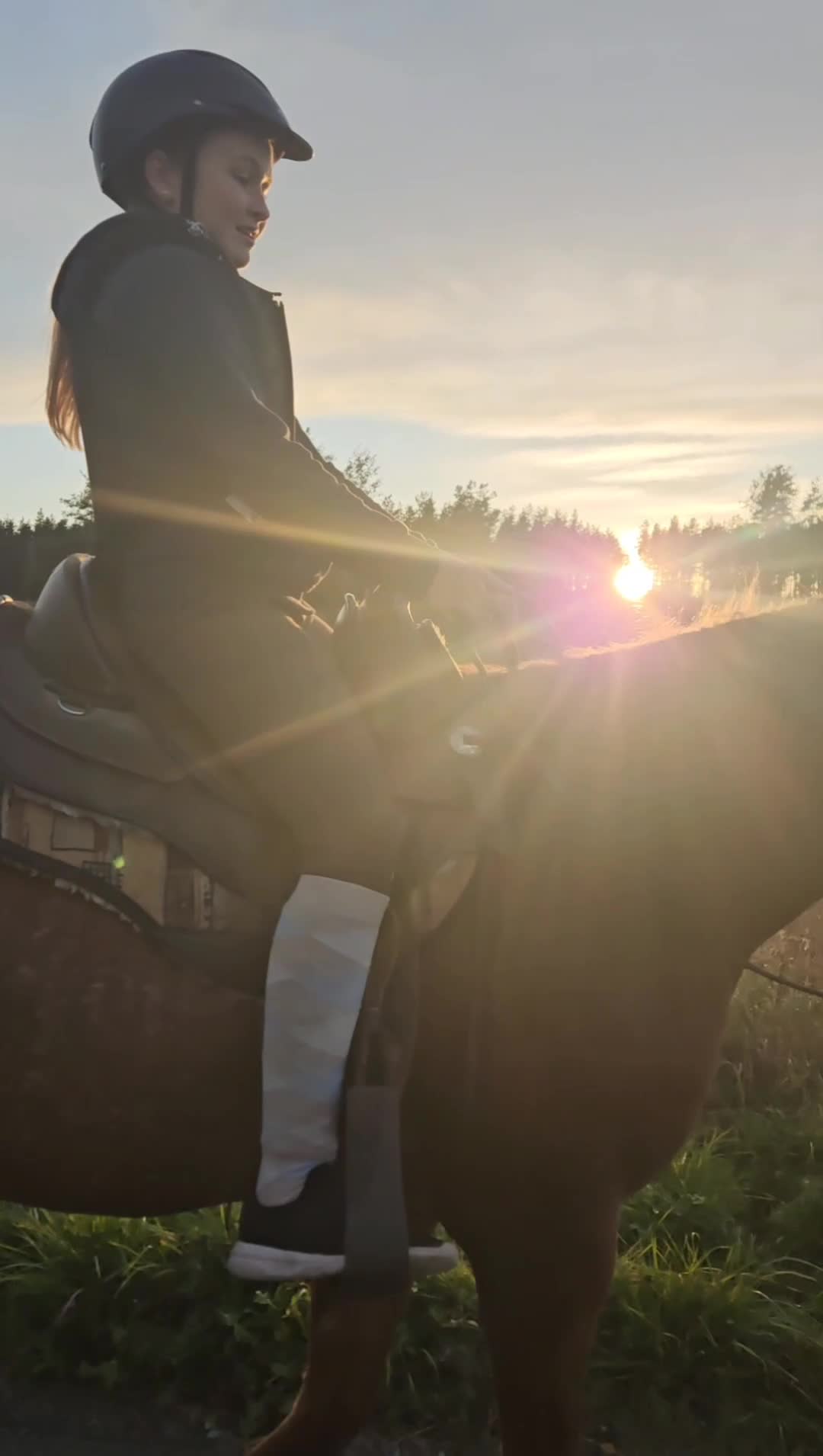 Allround hästar till salu: Korsning quarter - Video 1
