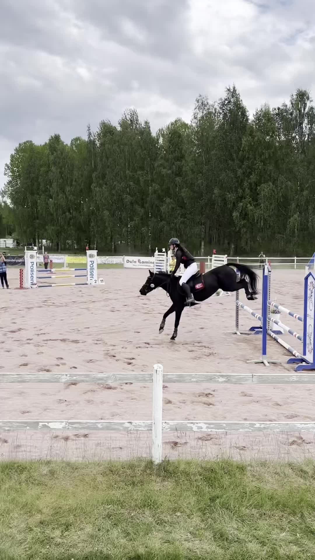 Allround hästar till salu: Trevligt allroundsto i Malung - Video 1