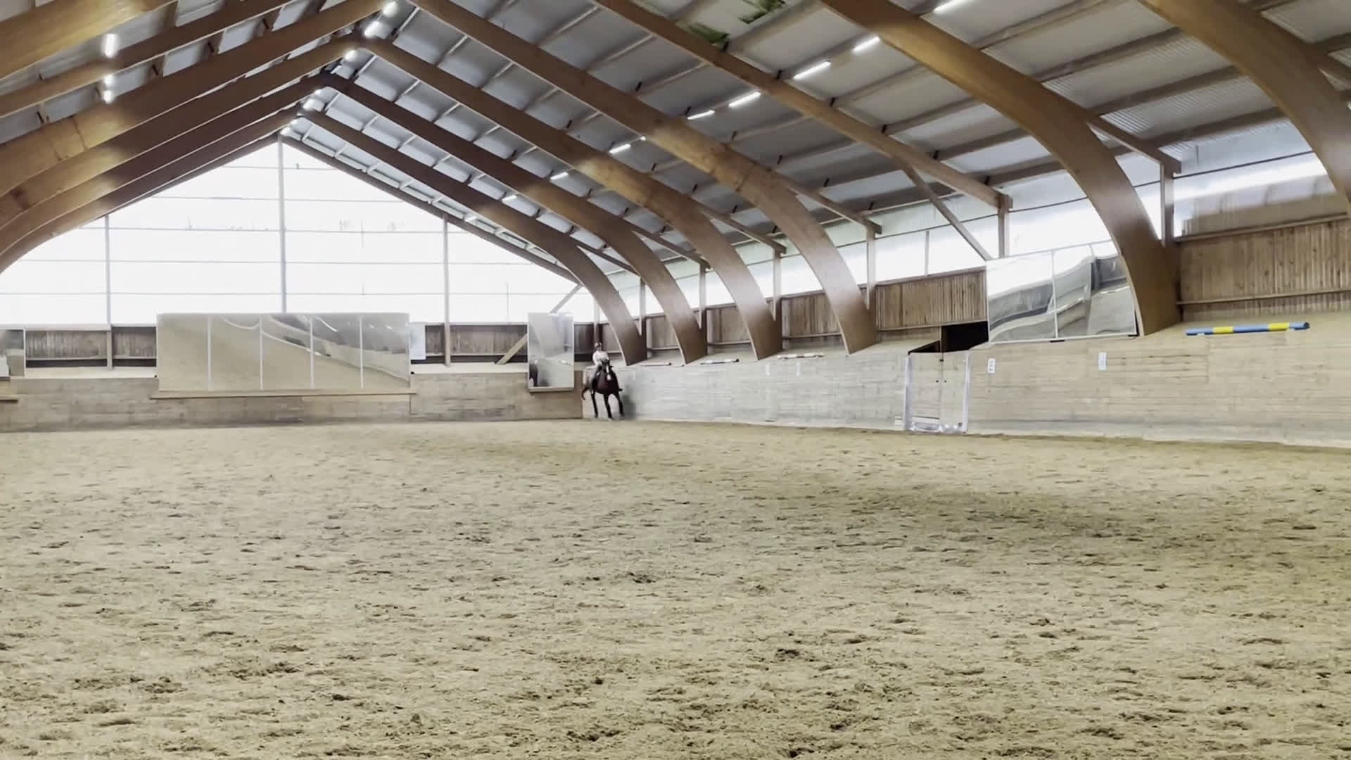 Dressyr hästar till salu: Fantastisk läromästare i Västerås - Video 1