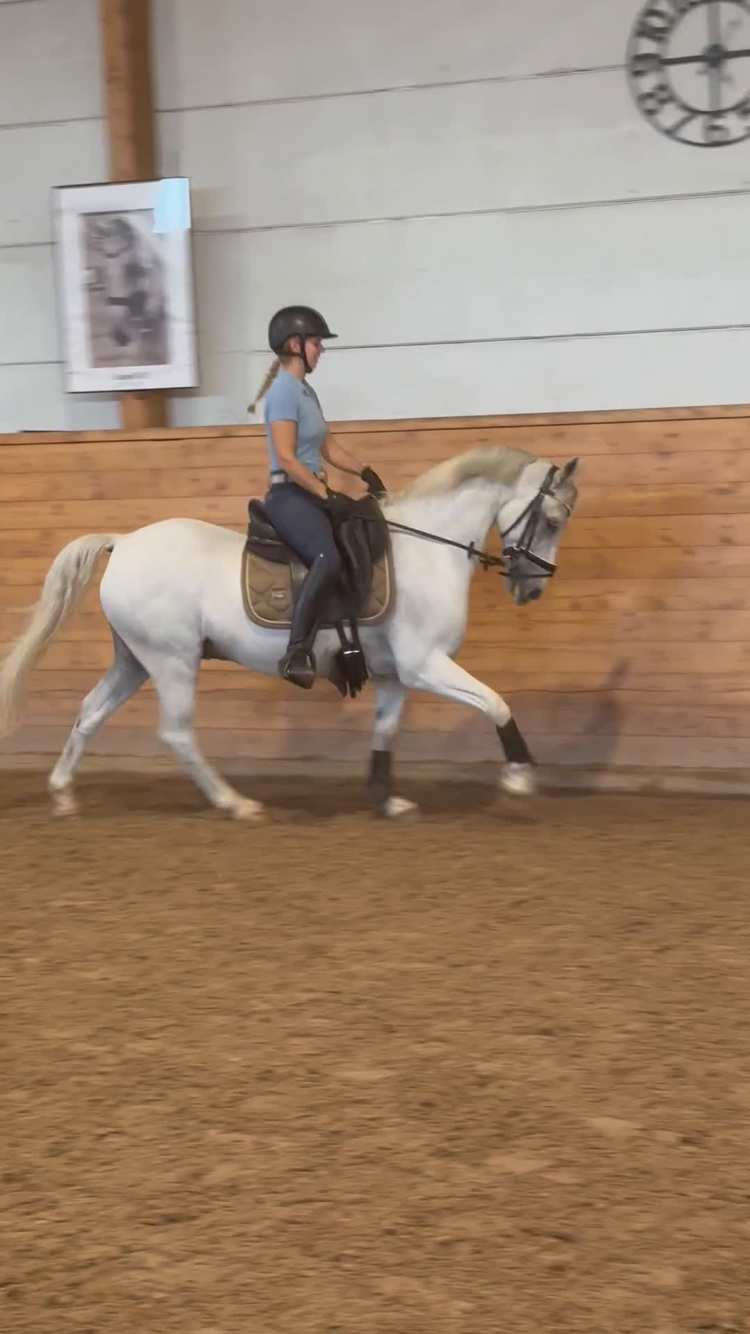 Dressyr hästar till salu: Drömponny för den lilla ryttaren i Norrköping - Video 5