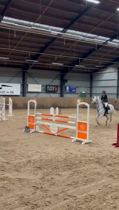 Hoppning hästar till salu: Stabil och erfaren läromästare i hoppning i Värnamo - Video 1