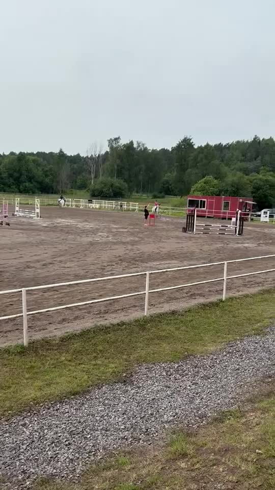 Hoppning hästar till salu: Redo för SM/Sverigeponnyn 2027 - Video 4