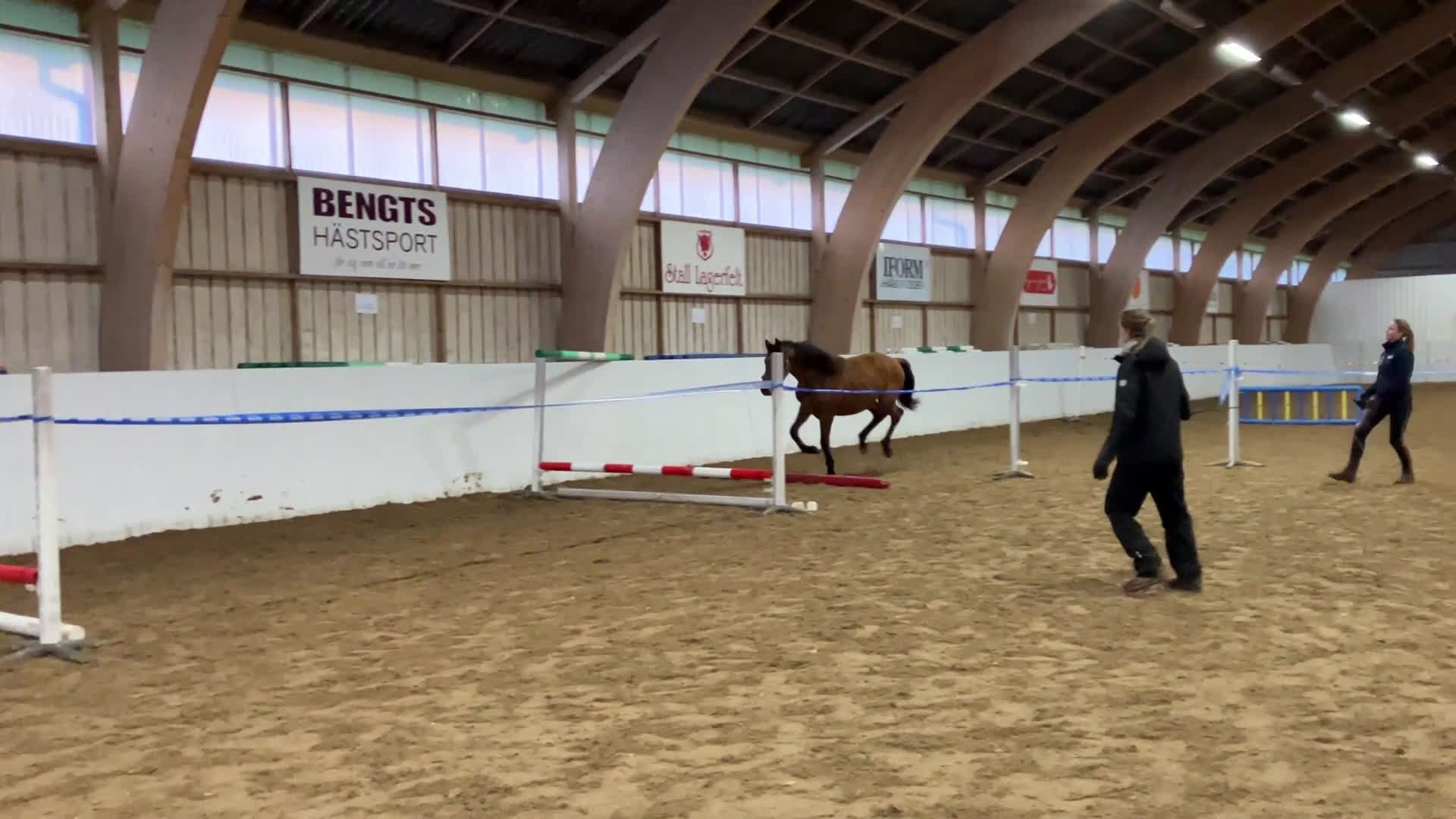 Hoppning hästar till salu: Säljes förmånligt tillsammans eller var för sig i Blentarp - Video 2