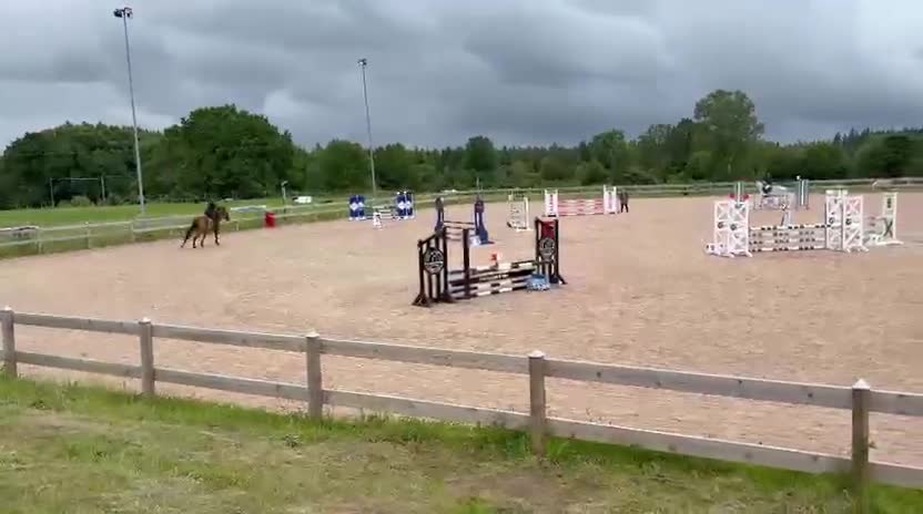 Hoppning hästar till salu: 🐴 Ray of Light – Lovande 6-årigt hoppsto (1,10 m) - Video 1