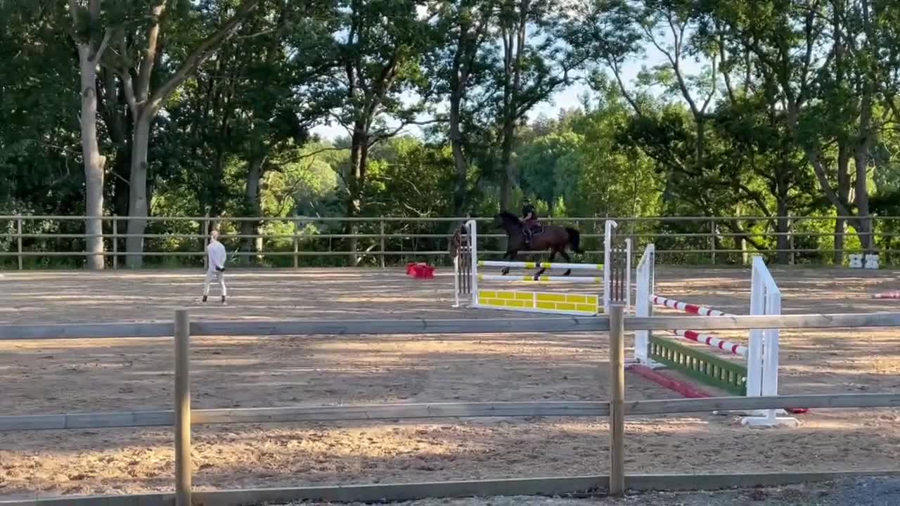 Hoppning hästar till salu: Maffigt sto med spänst! - Video 1