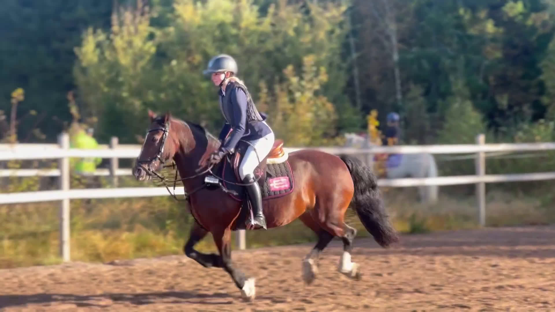 Hoppning hästar till salu: Pigg hopp ponny *Prissänkt* ev byte i Kosta - Video 4