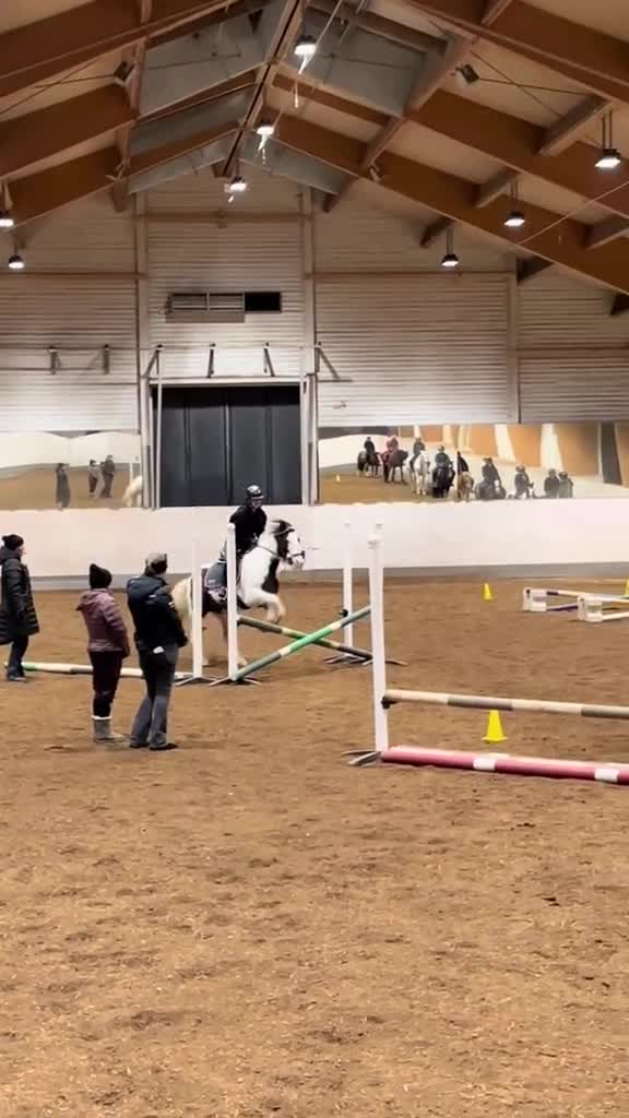  medryttarhäst sökes: Söker medryttarhäst i Vällingby - Video 5