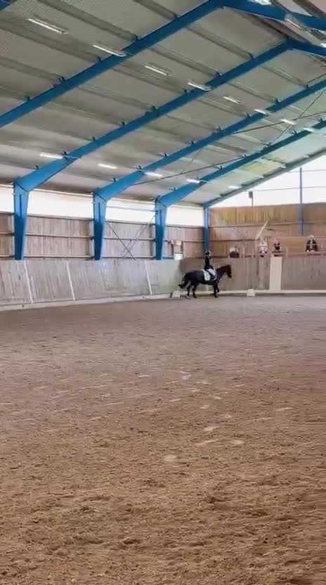 Allround hästar till salu: Charmig C ponny valack  - Video 1