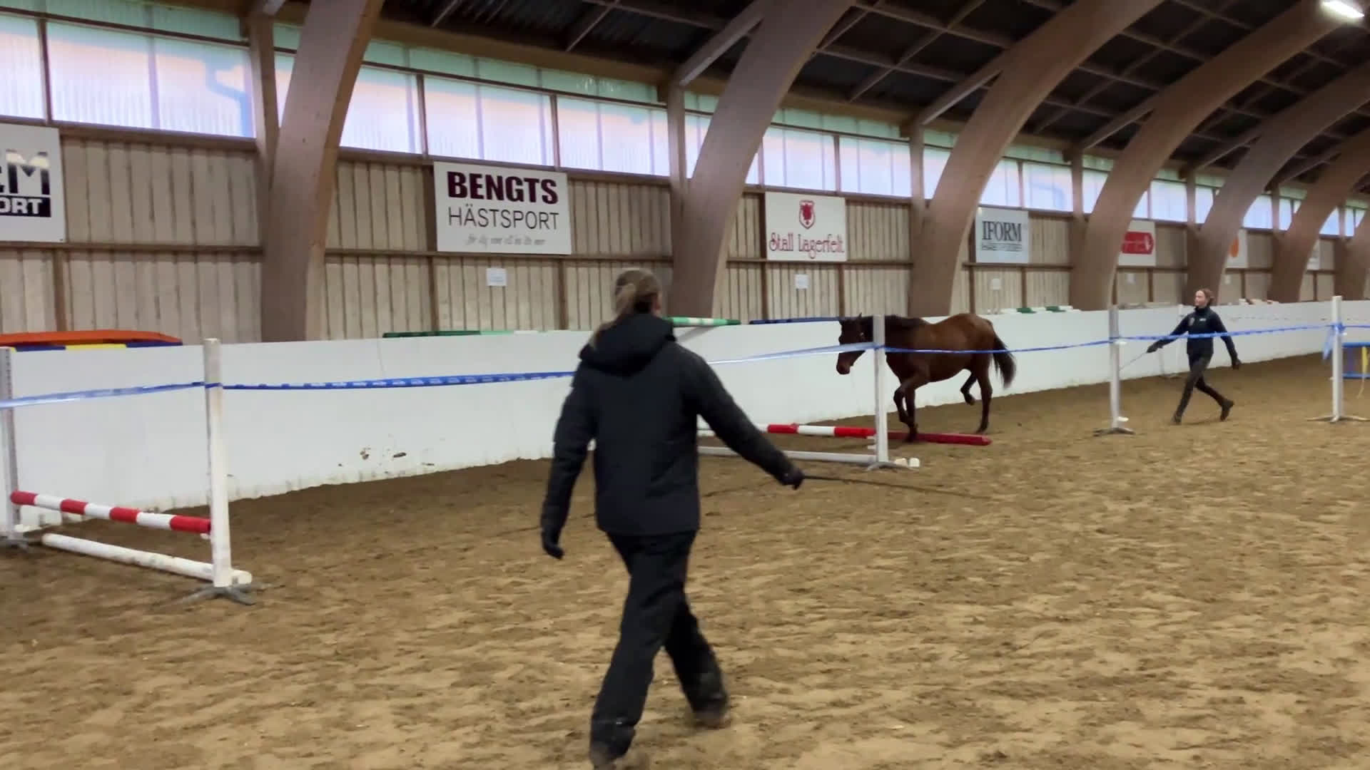 Hoppning hästar till salu: Säljes förmånligt tillsammans eller var för sig i Blentarp - Video 1