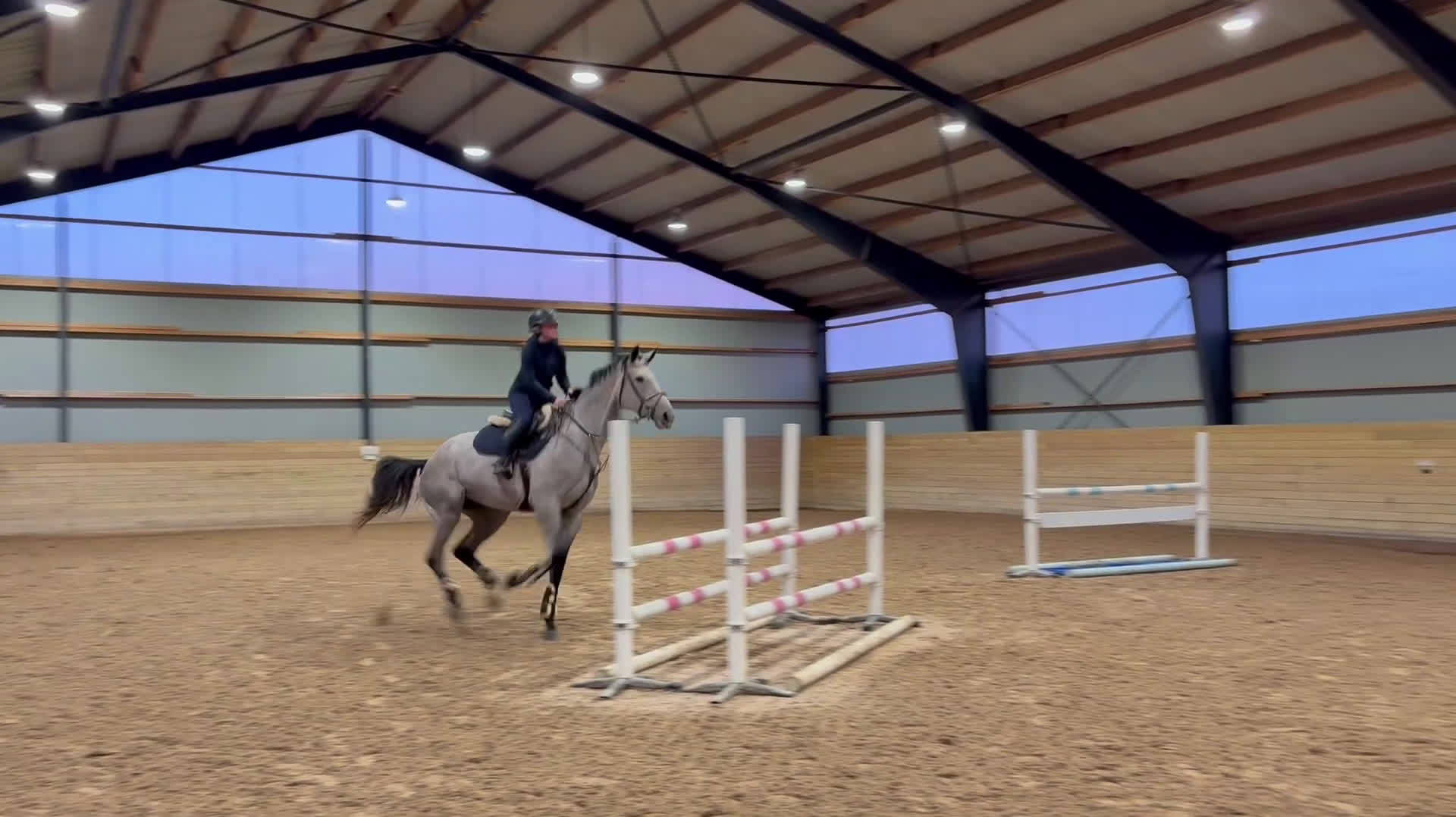 Hoppning hästar till salu: Syster till Easy Boy. Elbarone - Cardento i Norrköping - Video 2