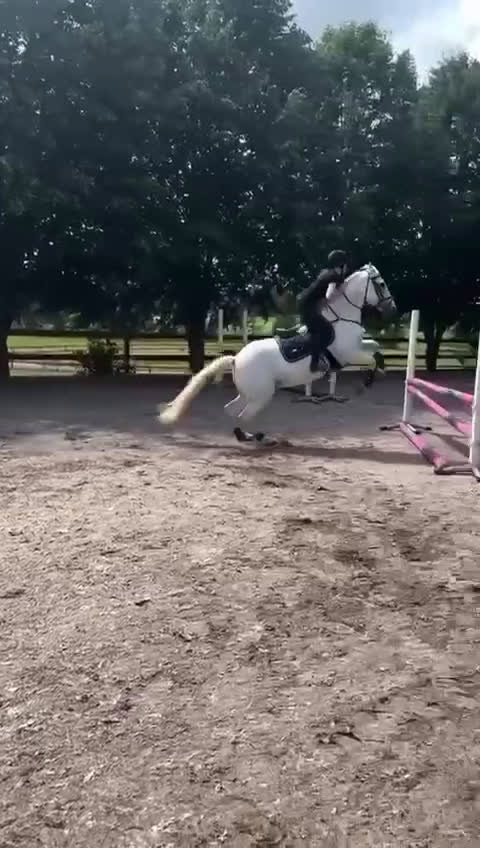 Hoppning hästar till salu: Trevlig ponny säljes i Värnamo - Video 1