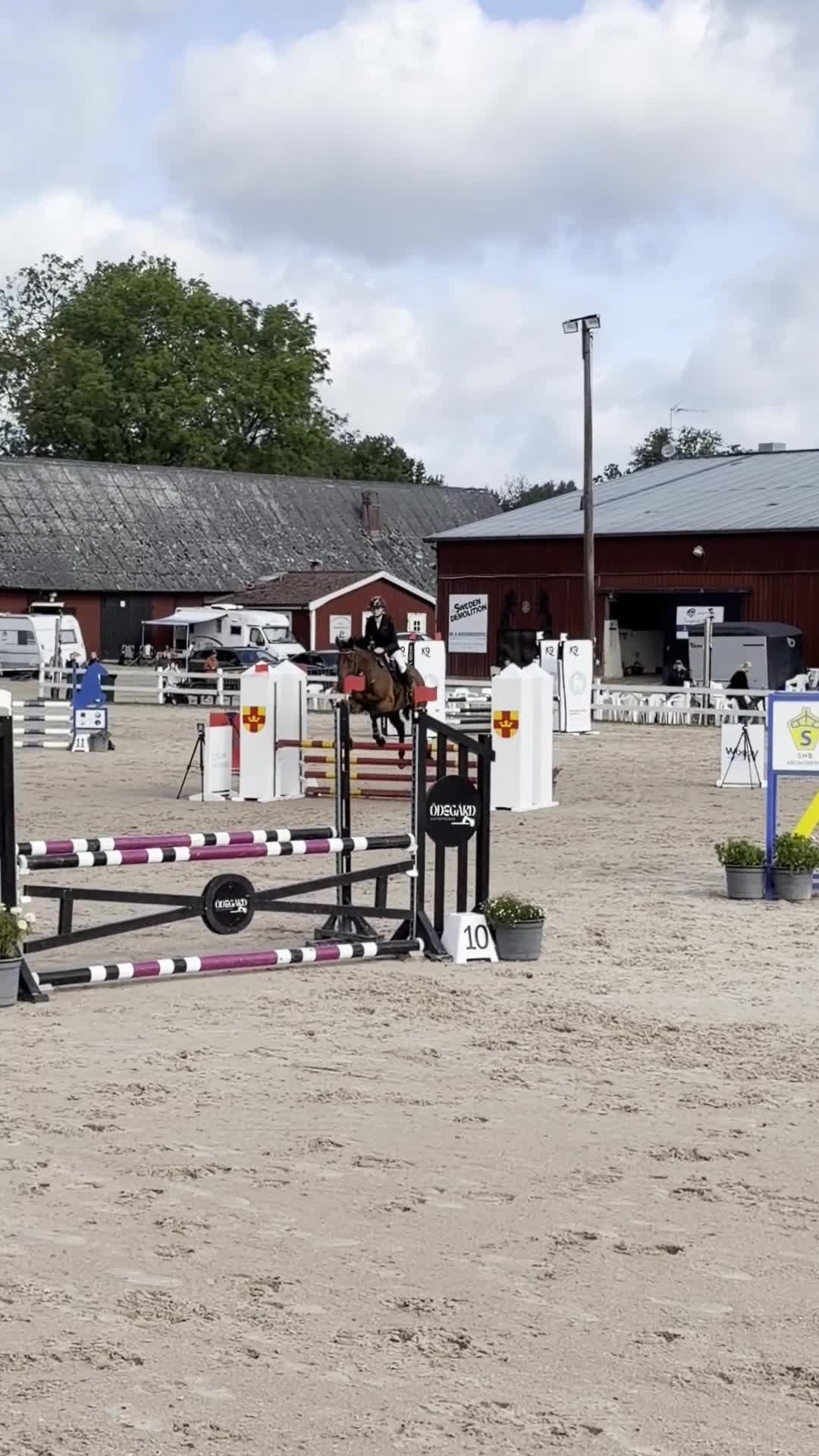 Hoppning hästar till salu: Härligt hoppsto🌟 - Video 3