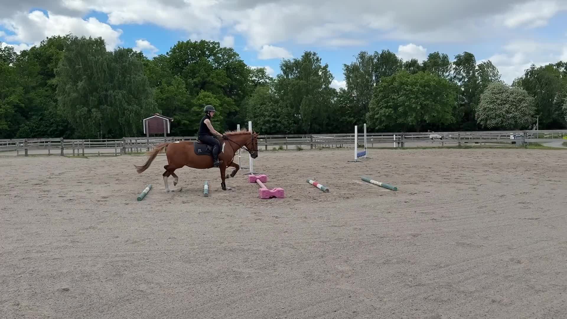 Allround hästar till salu: Söt trevlig ponny  - Video 1