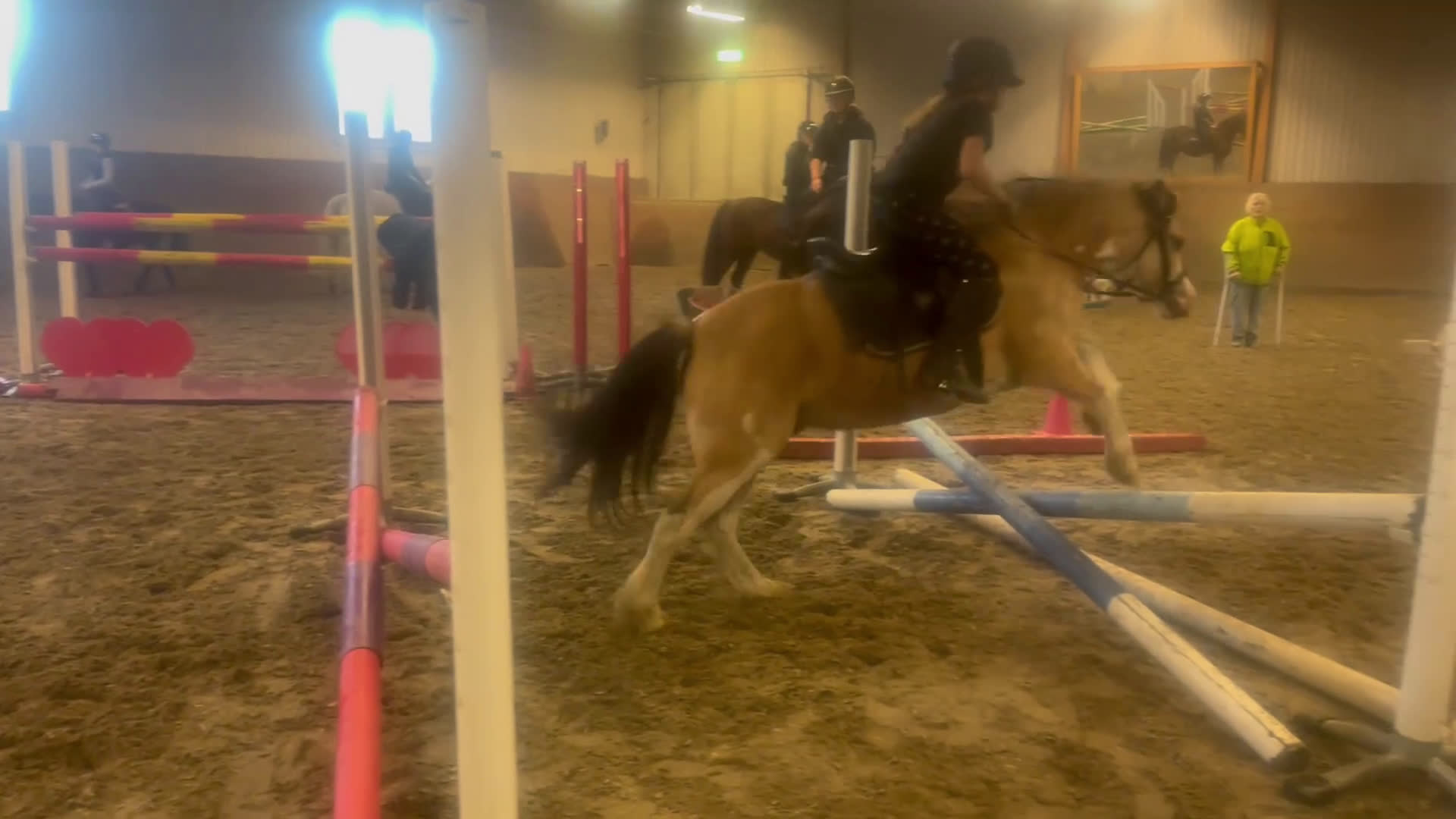 Allround hästar till salu: Sötaste och snällaste barnponnyn - Video 3