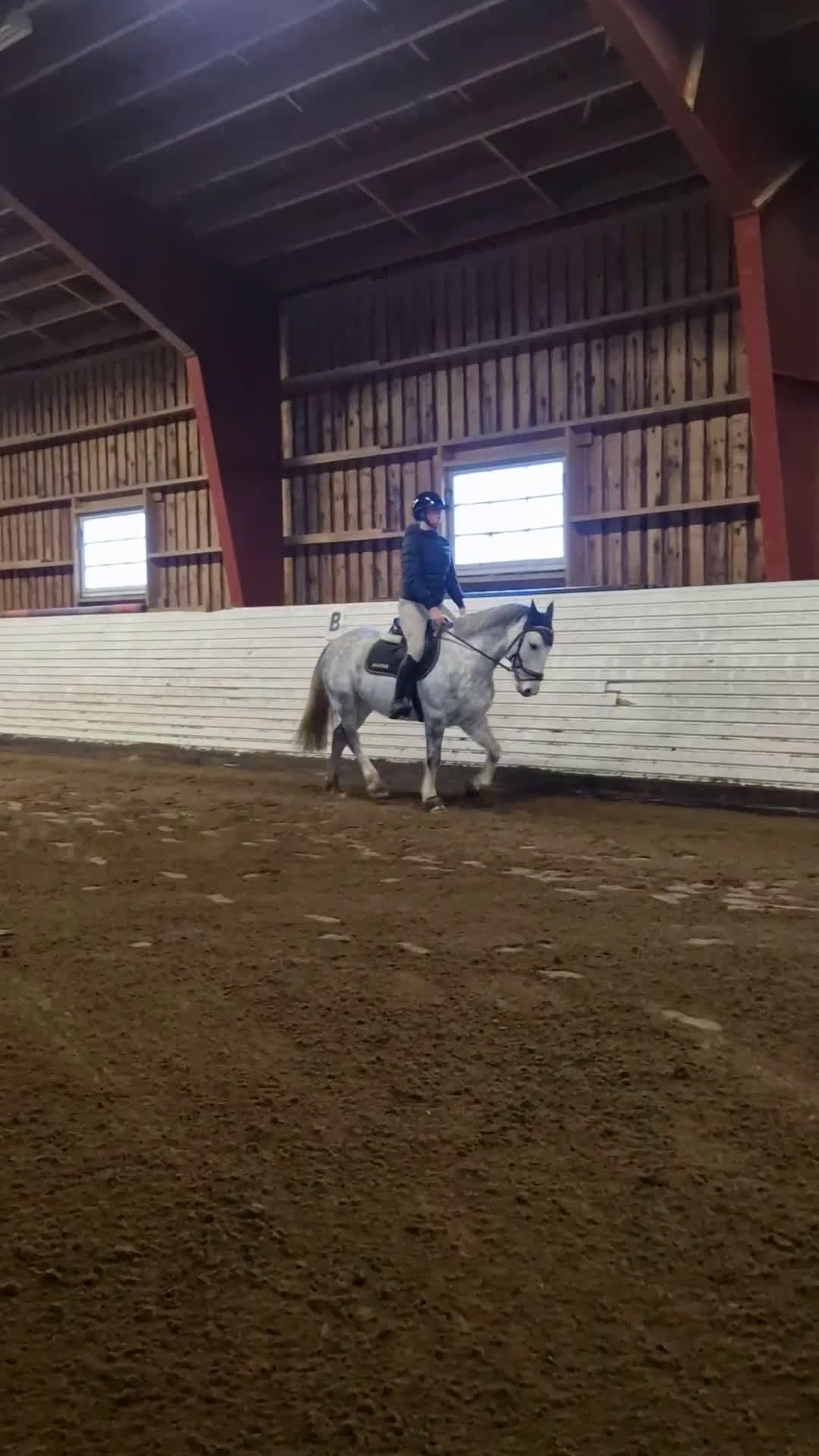 Allround hästar till salu: Supertrevlig pigg ponny med kapacitet i Västerås - Video 1