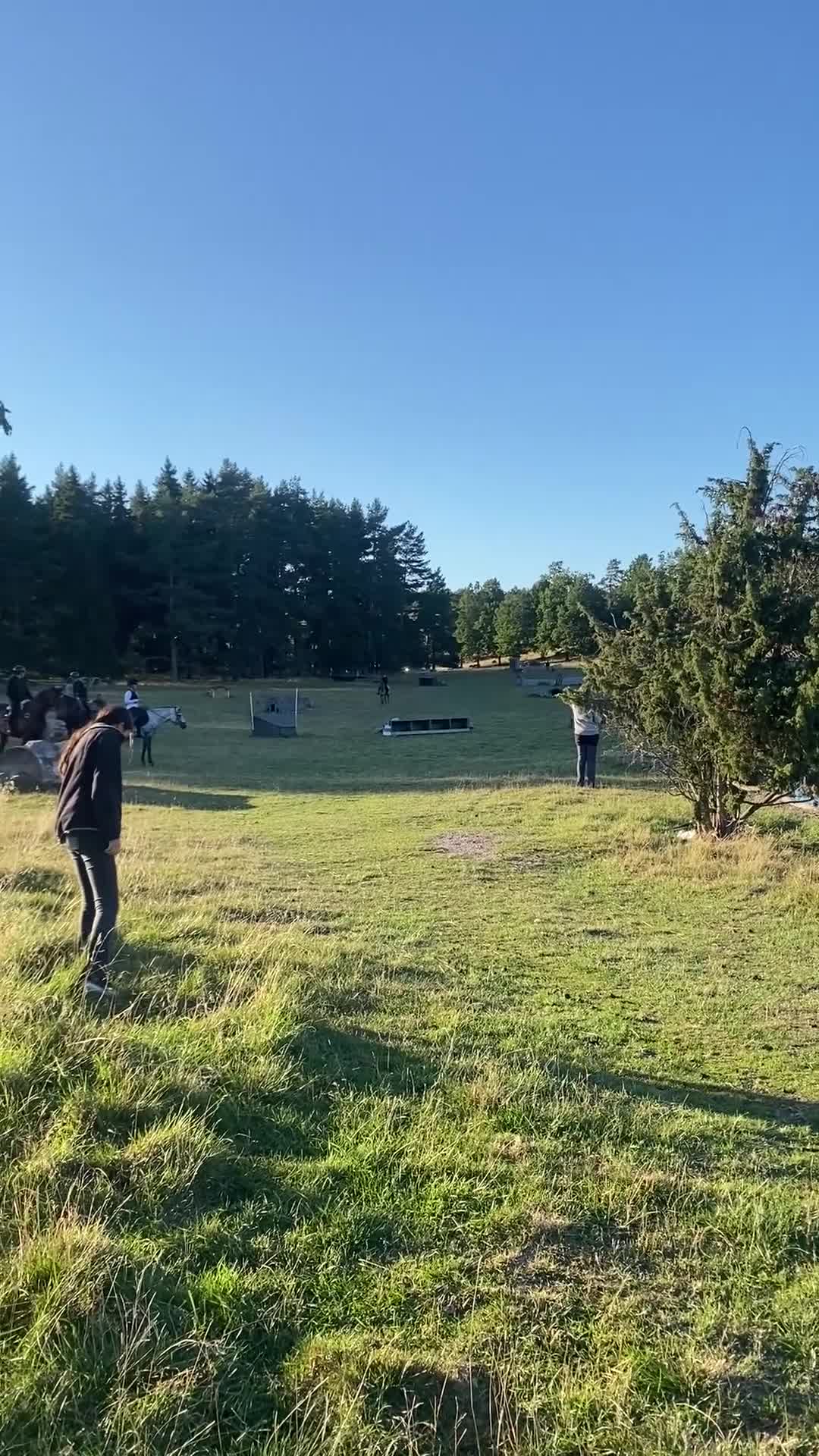 Allround hästar till salu: Charmigaste stjärnan🌟 i Norsholm - Video 4
