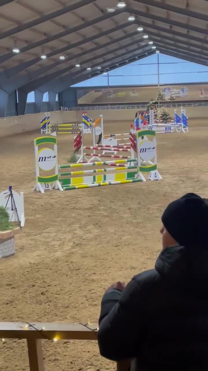 Allround hästar till salu: Rolig tränings och tävlingskompis! - Video 1