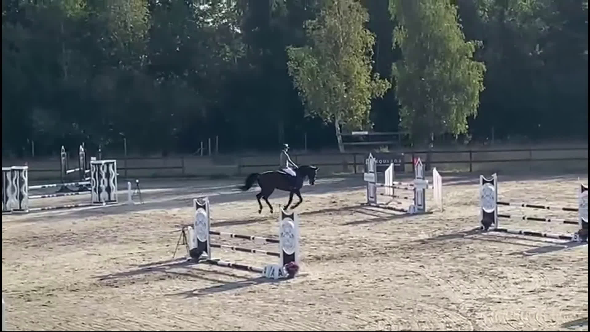Hoppning hästar till salu: The perfect blend - showjumping power of dressage  i Helsinge kommun - Video 1