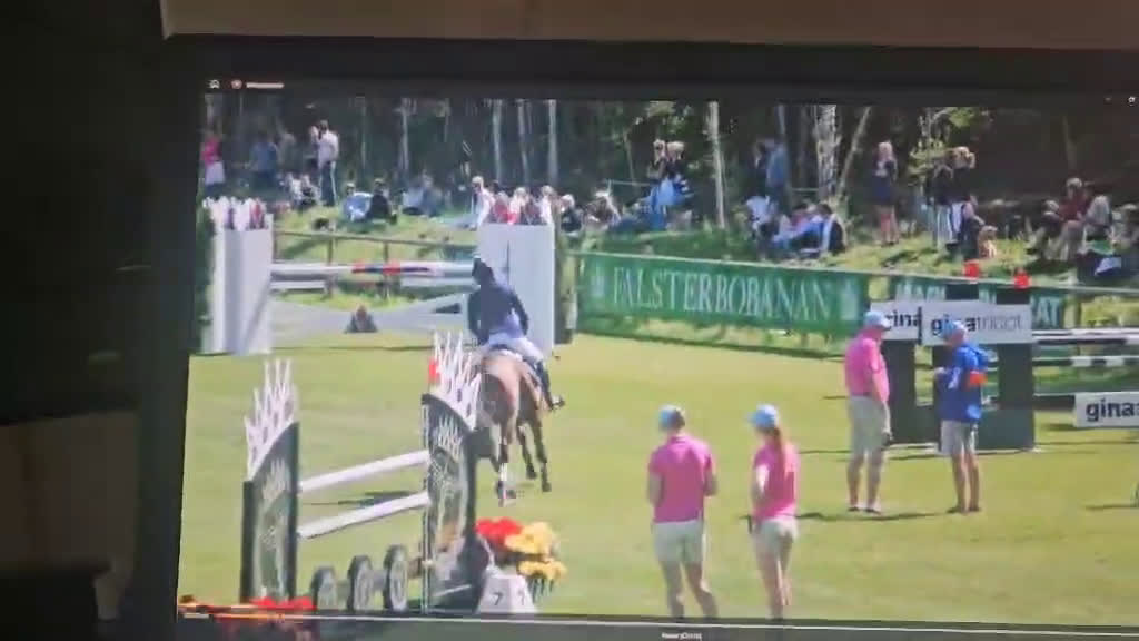 Hoppning hästar till salu: ”Tage” – Ett framtidshopp med världslinjer i Ljungsarp - Video 2