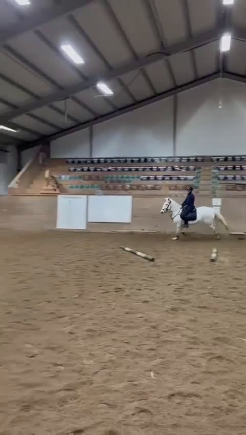 Allround hästar till salu: Ponny med hjärta av guld - Video 1