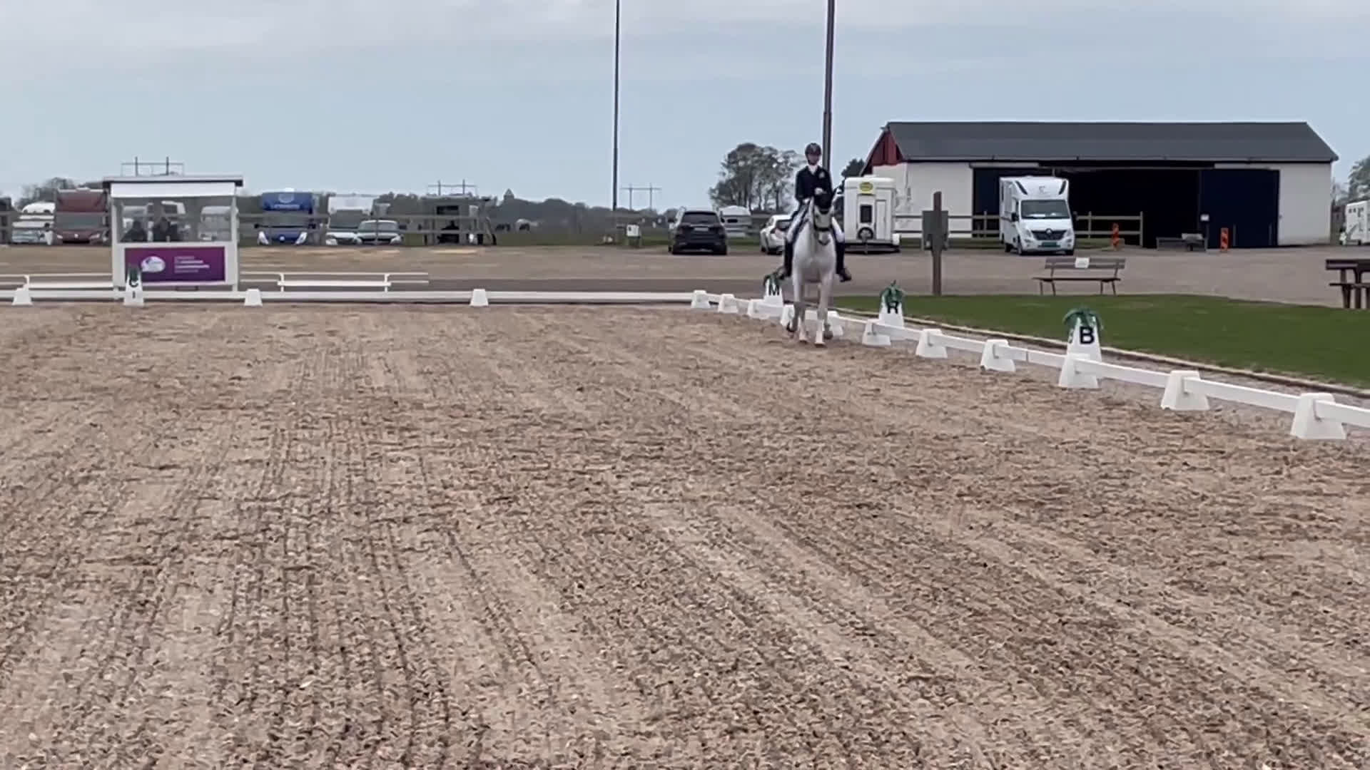 Dressyr hästar till salu: Fantastisk läromästare junior/YR i Teckomatorp - Video 3