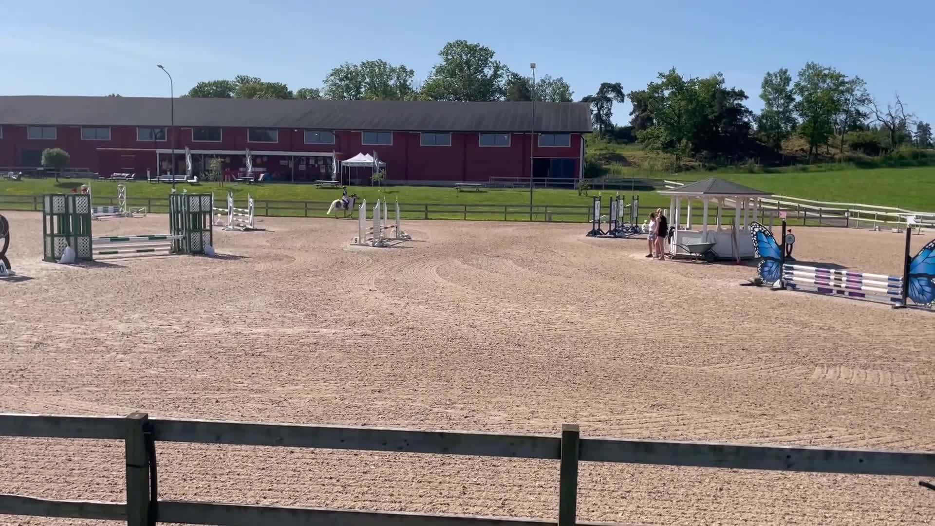 Hoppning hästar till salu: B-ponny med stort hjärta och fin hoppkapacitet - Video 1