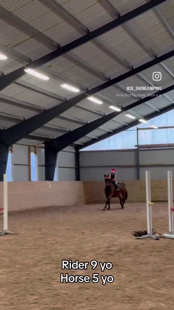 Hoppning hästar till salu: Fantastisk trevlig hoppvalack, ny film igen! - Video 3