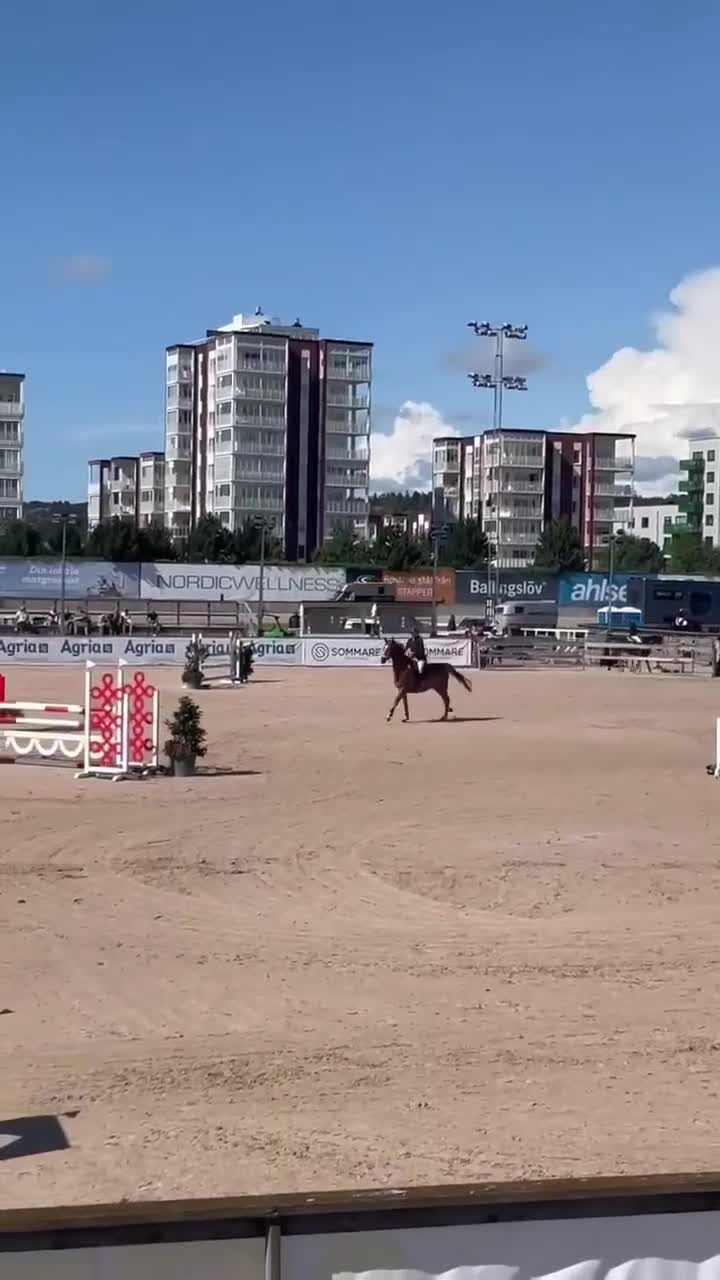 Hoppning hästar till salu: Kvick och sportig SWB valack  - Video 1