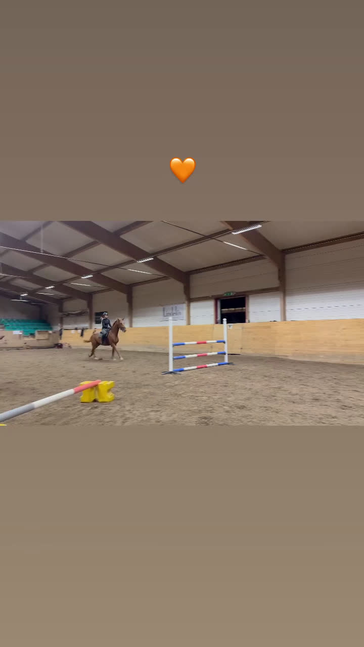 Allround hästar till salu: Ambitiös, välriden valack med kapacitet i Alingsås - Video 3