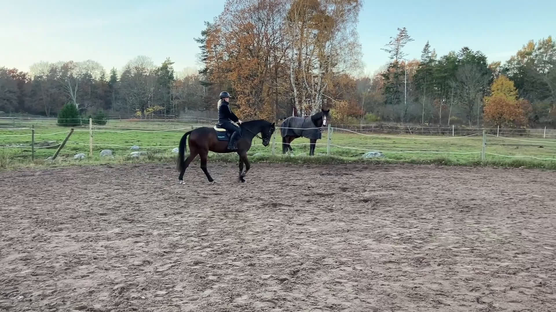Hoppning hästar till salu: Härlig Unghäst ev Byte i Västervik - Video 2