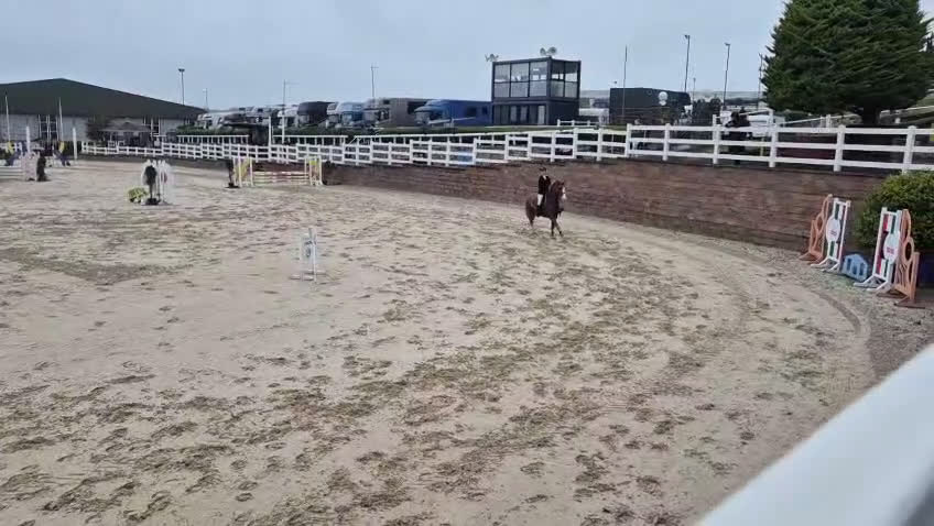 Dressyr hästar till salu: Super amazing pony i Göteborg - Video 5