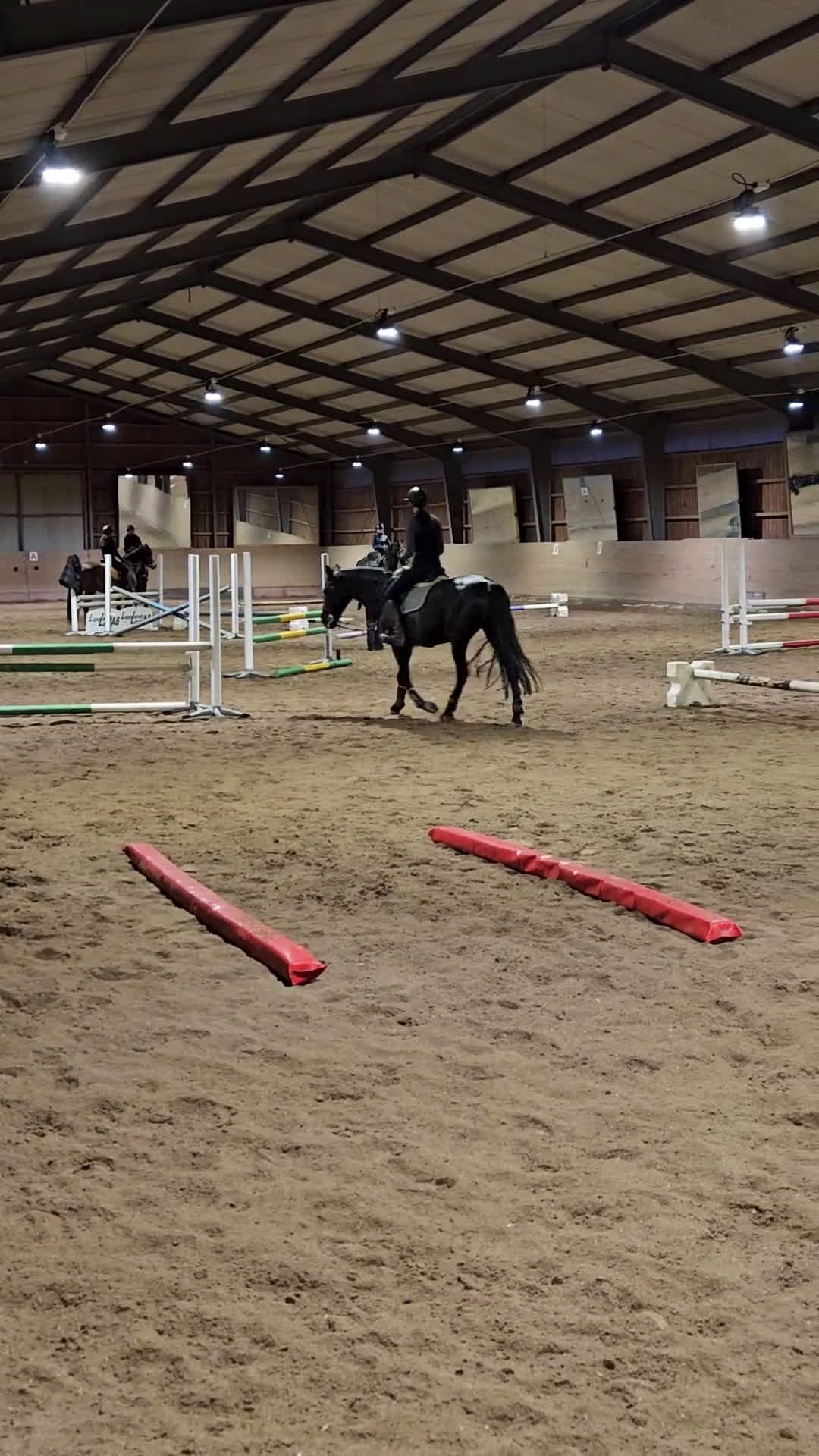 Allround hästar till salu: Härlig allroundponny i Sparreholm - Video 4