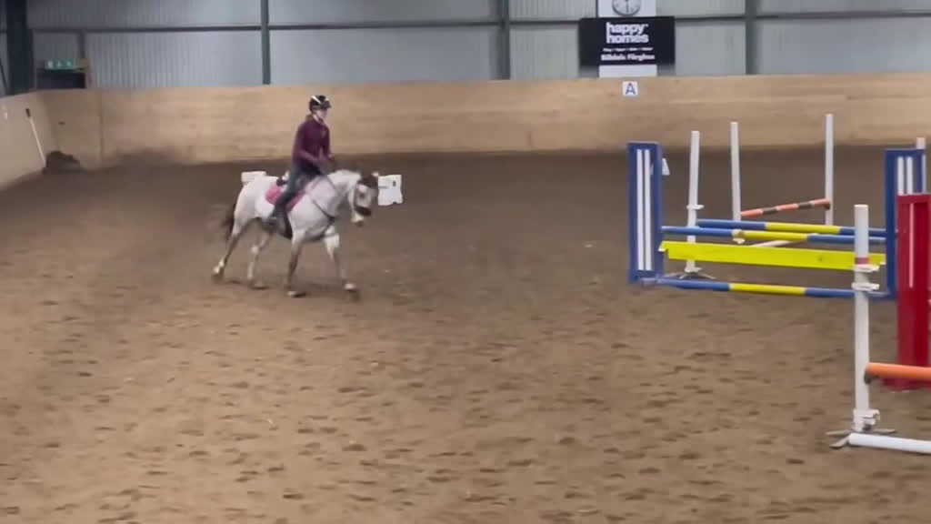 Allround hästar till salu: Guldponny med stort G i Västra Frölunda - Video 3