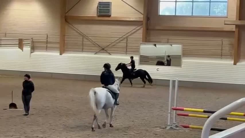 Allround hästar till salu: Ponny att forma själv! - Video 1