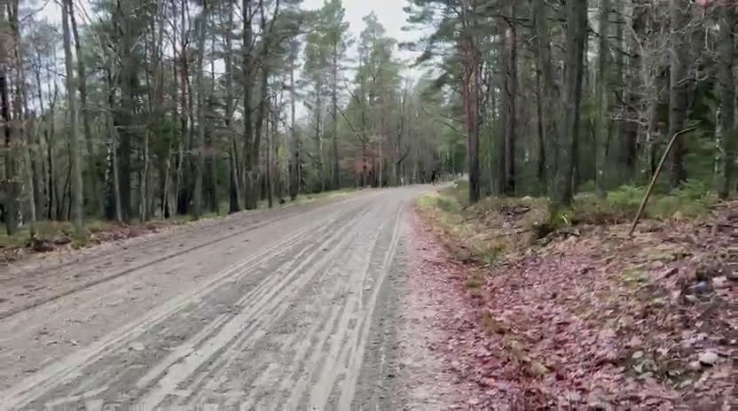 Allround hästar till salu: Projekthäst - Video 1