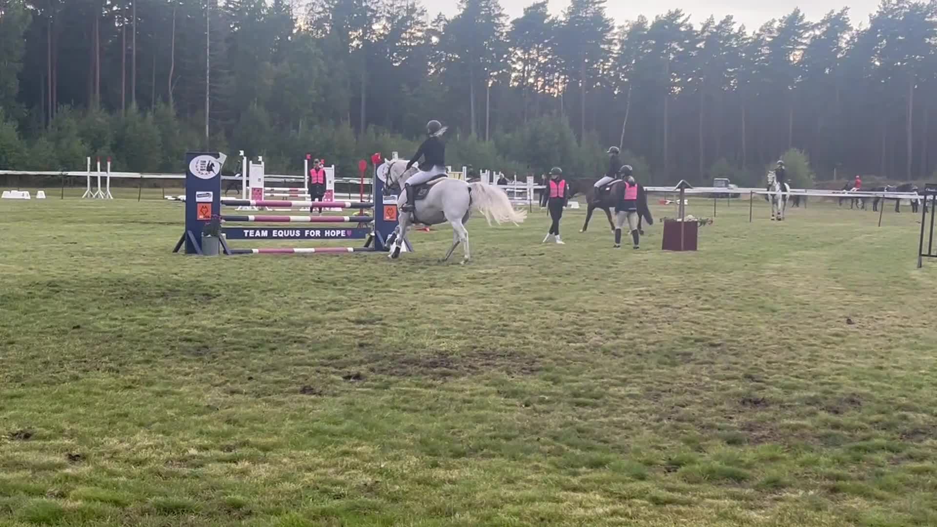 Allround hästar till salu: Fin allround ponny❤️‍🩹 i Nättraby - Video 1