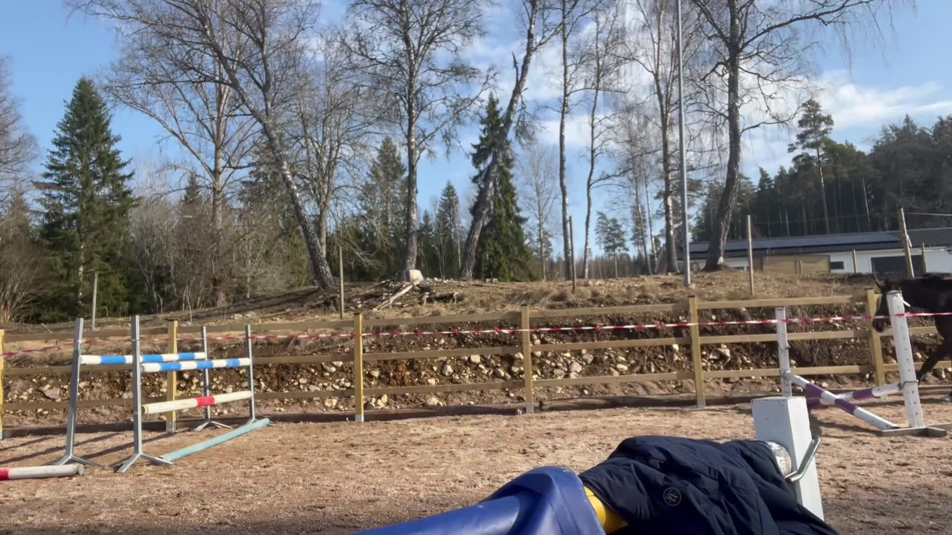 Allround hästar till salu: Uttrycksfullt sto, eventuellt bytes - Video 1