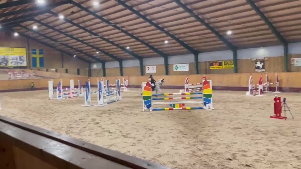 Hoppning hästar till salu: 🌟Oslipad diamant för de högsta klasserna🌟 - Video 2