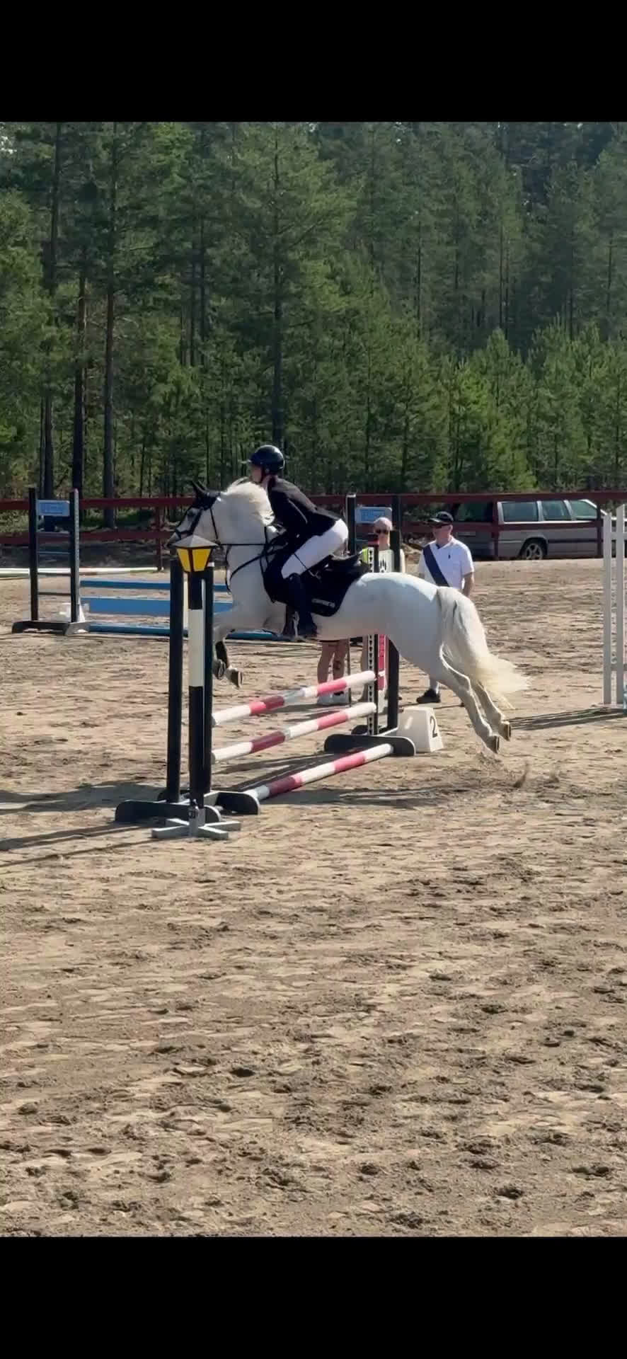 Hoppning hästar till salu: Super fin c ponny connemara  i Delsbo - Video 2