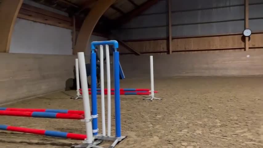 Allround hästar till salu: Underbara Pippi  - Video 3