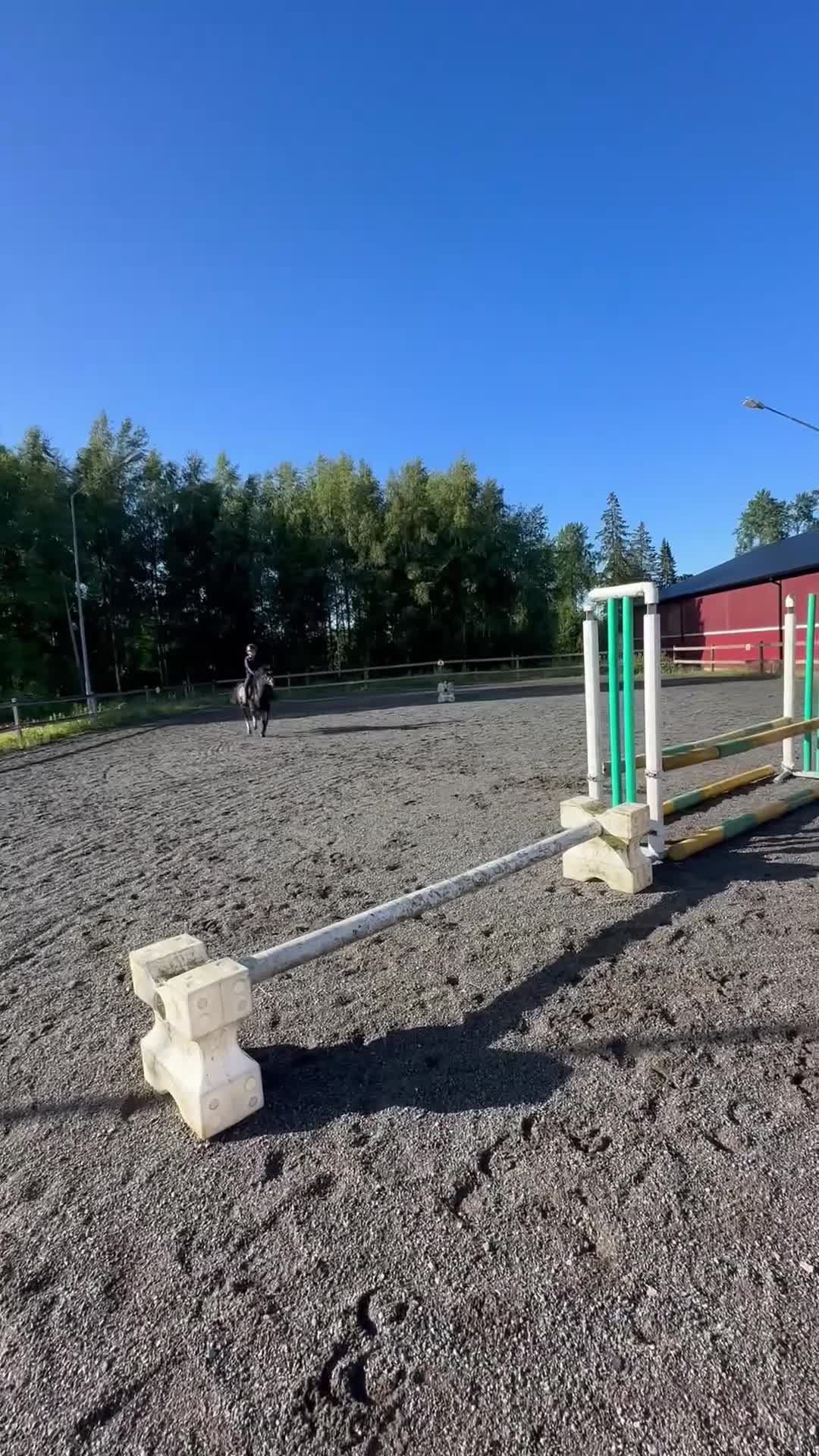 Allround hästar till salu: Superfin B-ponny! - Video 1
