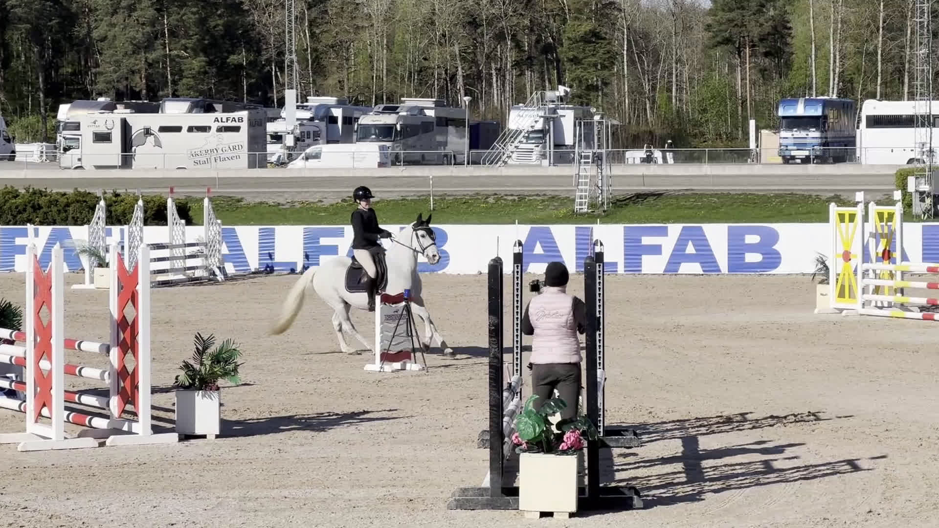 Hoppning hästar till salu: En riktig rosett plockare i lägre klasser i Norra Sorunda - Video 1
