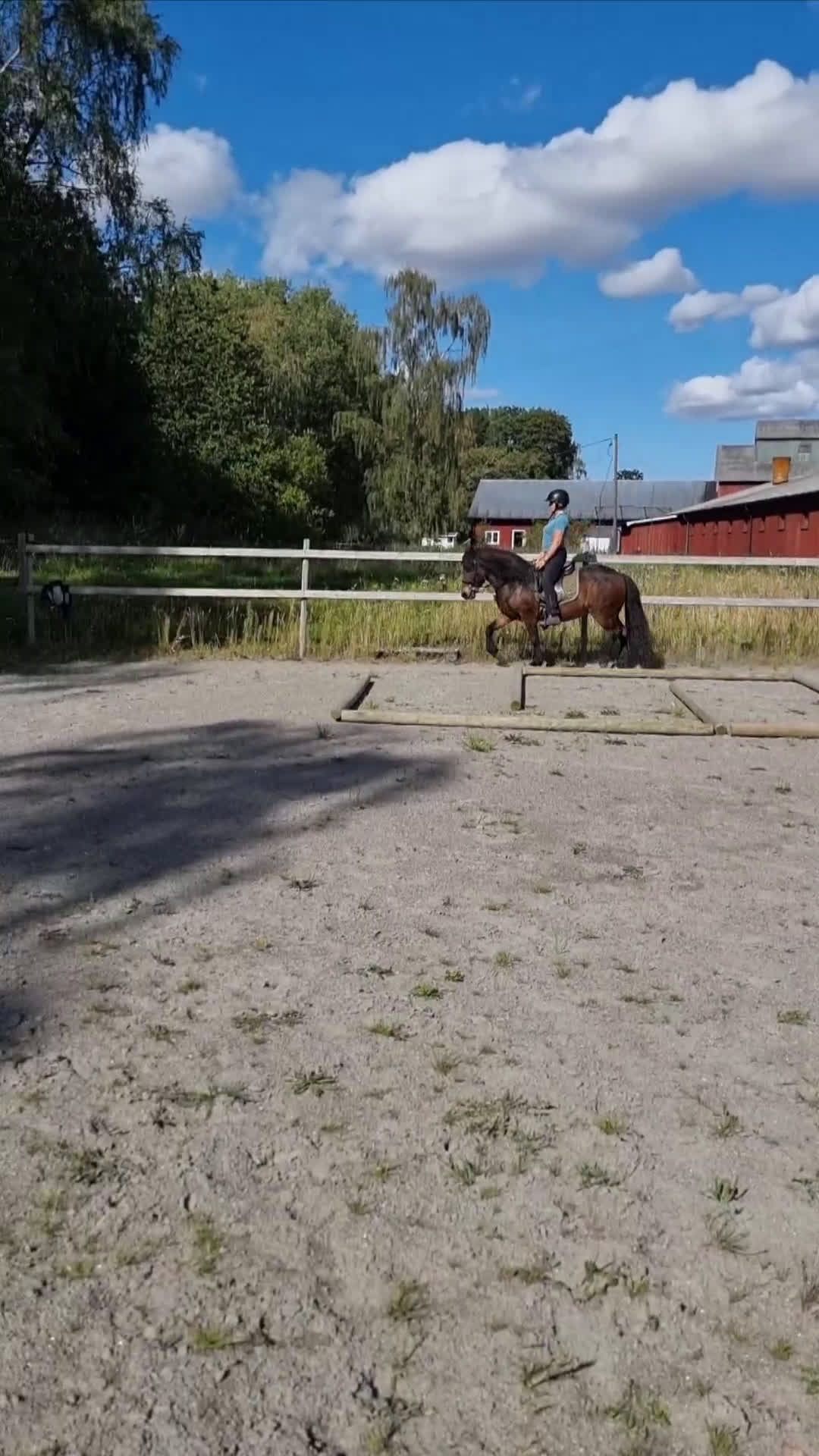 Island hästar till salu: Embla frá Vindási i Skara - Video 2