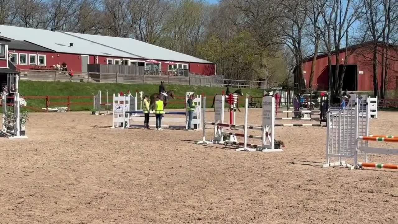 Hoppning hästar till salu: Fin 5 femåring  - Video 2