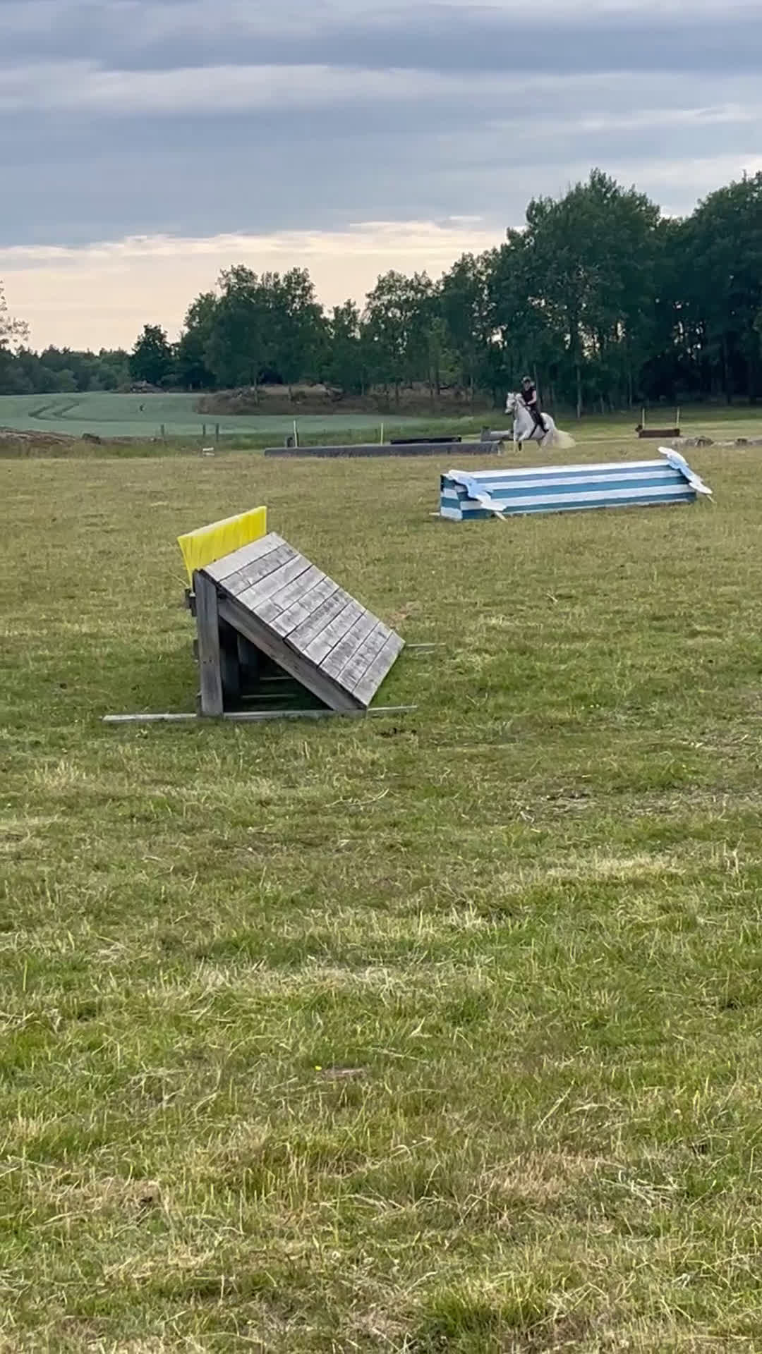Hoppning hästar till salu: Rolig allroundponny i Norrköping - Video 4