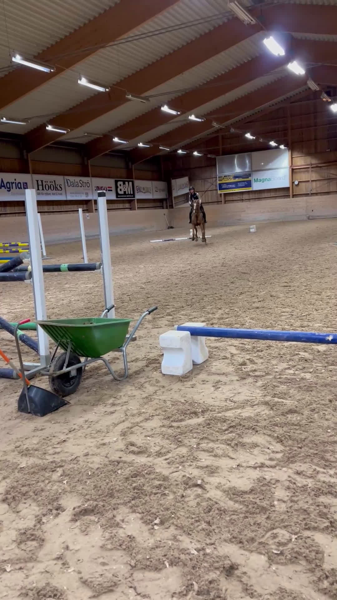 Hoppning hästar till salu: 8-årigt sto med god kapacitet  - Video 1