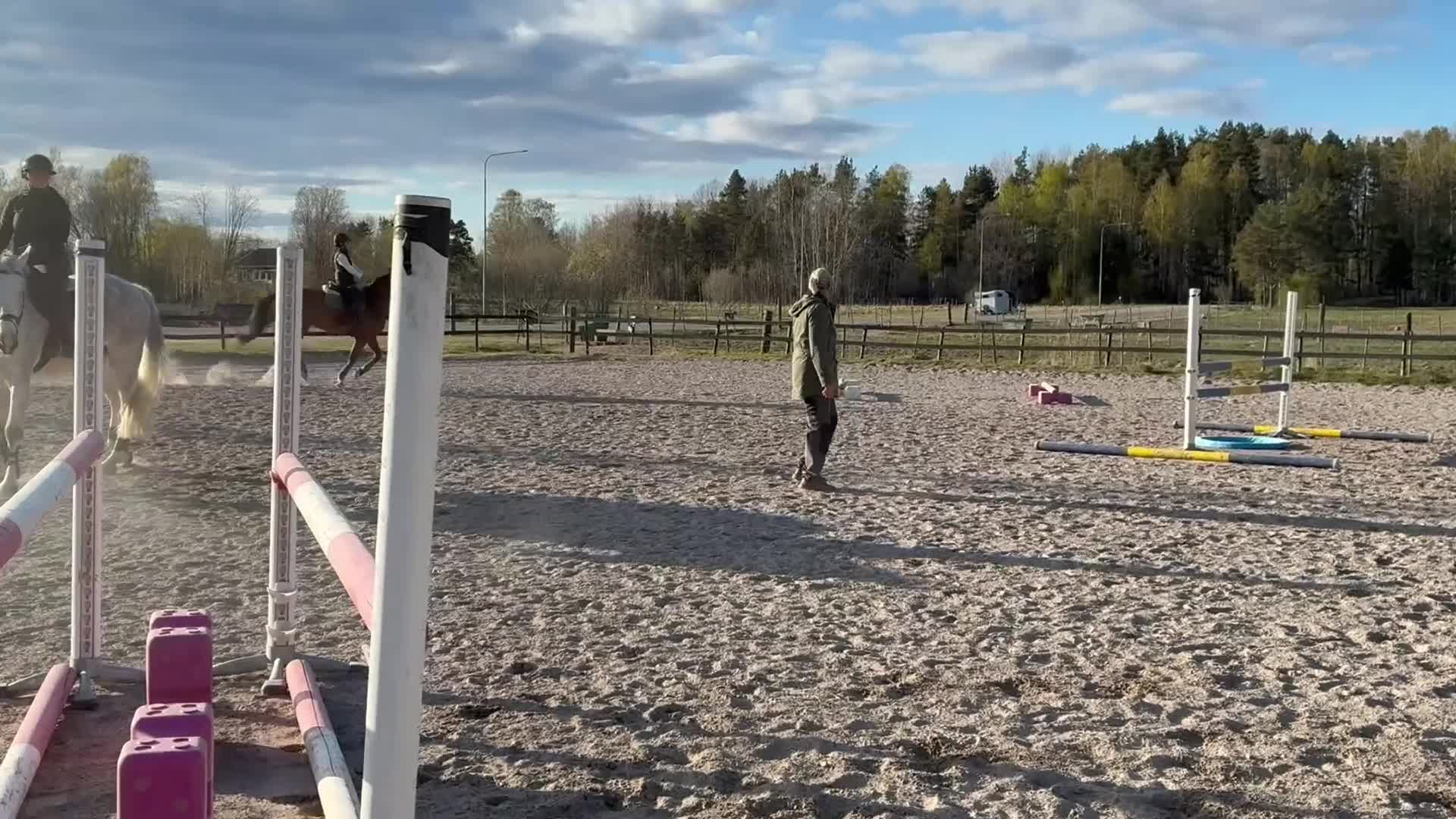 Dressyr hästar till salu: En bästavän - Video 1